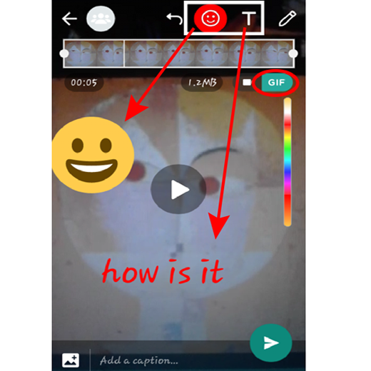 how to send GIF files in whatsapp