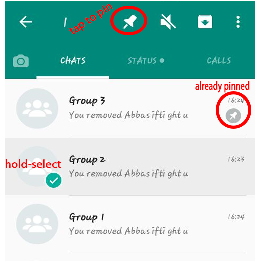 how to pin important converstion in whatsapp