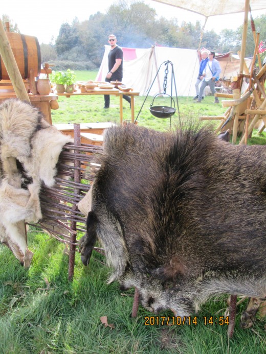 Pelts laid out  to dry after washing. This is the 'Hildsvin' (Battle Boar) camp near the western end of the ridge. One of the group is portrayed - with axe and sword - on the covers of two of my RAVENFEAST series books 