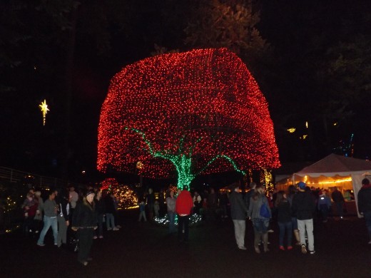 The Grotto Festival of Lights. 