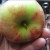next apple next apple