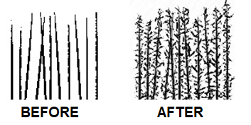 The image illustrates how the hair fibers attach themselves to real hair when applied.