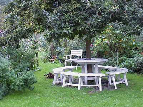 Bench around the Medlar tree