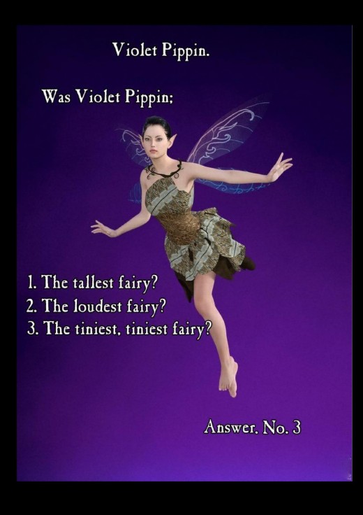 Violet Pippin Fairy book  Just one of the original I tried out before adding other pics and text.  Copyright Nell Rose