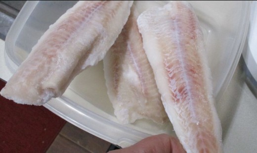 frozen pollock
