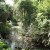 Juniper Springs in the Ocala National Forest Juniper Springs in the Ocala National Forest