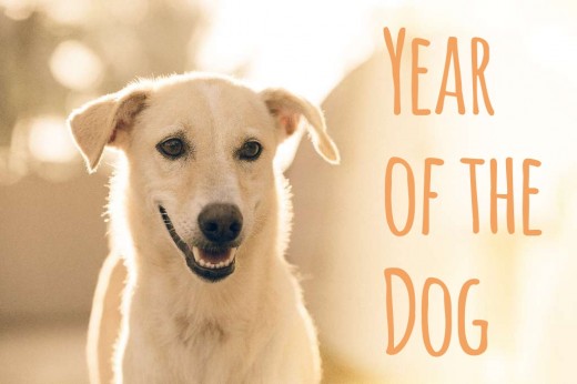 Bonus Year of the Dog card