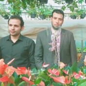 Yasser Elgazar profile image