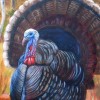Judychristian profile image