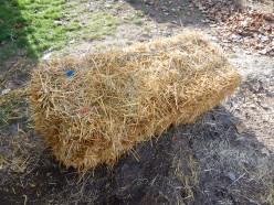 How to Get the Most From Straw Bale Gardening