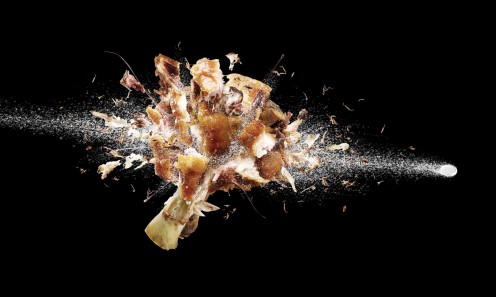 HD Ultra Slow Motion of an Exploding Mushroom