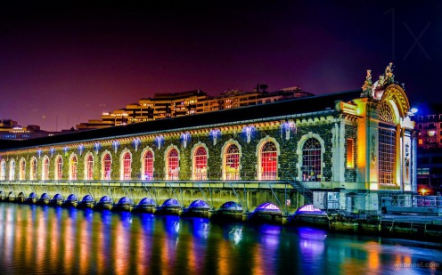Notice how the vivid colors enhance the photo