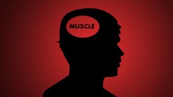 What Does Muscle Memory Mean?