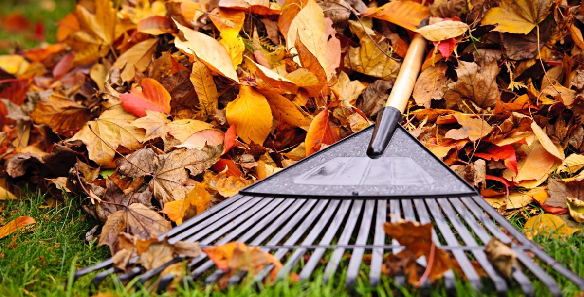 Tips to Stay Safe and Healthy This Fall Season