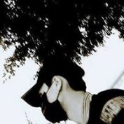 ngotiensinh profile image