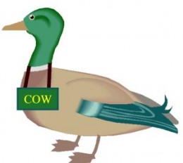 https://usercontent1.hubstatic.com/13819244_f260.jpg
