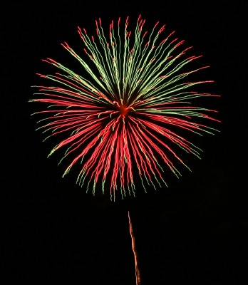 Fireworks often scare dogs and cats!