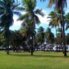 Nica Paraiso profile image