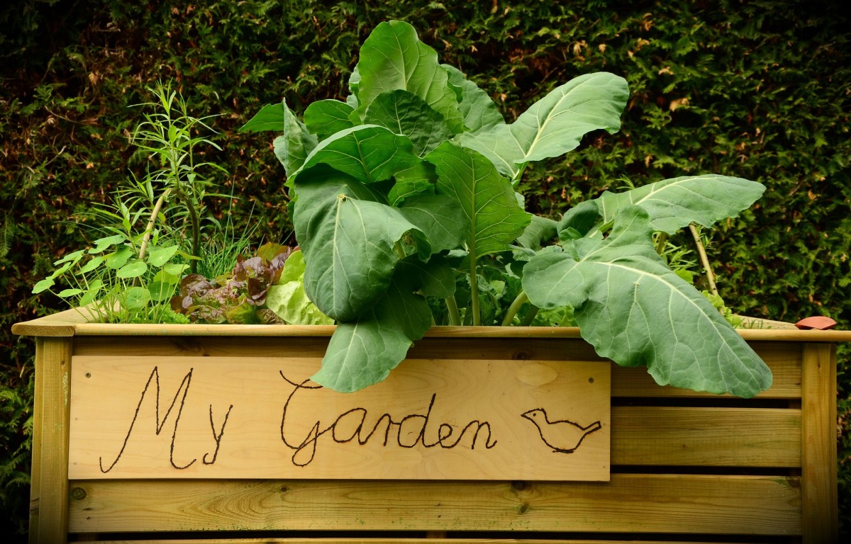 The Best And Worst Materials For Building Raised Garden Beds