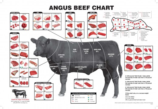 Beef Butcher Shop Chart
