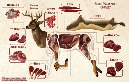 Harvest Chart - Venison