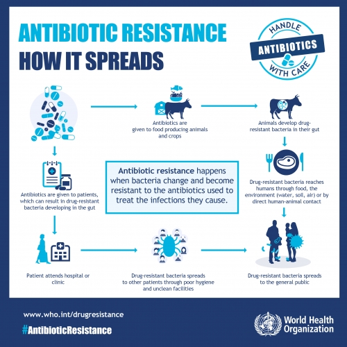 spreading of antibiotic resistance