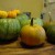 So many varieties of Pumpkin!