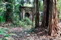 The Cemetery at Park Street in Calcutta where Memories of the Raj Thrive