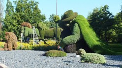 Rooted in Hope: The Living Art of 'The Man Who Planted Trees