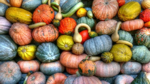 A mosaic of nutrition