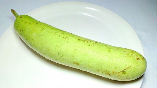 Bottle gourd or opo squash