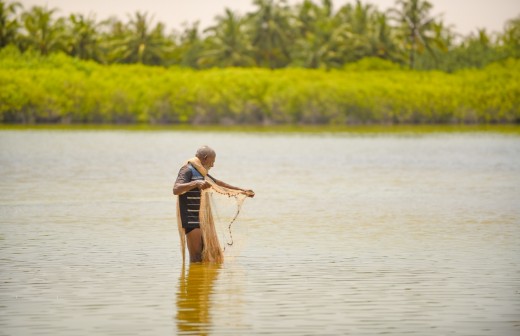 A fisherman prepares his net for catching bait. Fishing exports are a major means of income for the island nation.