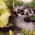 Waterfalls and lush foliage at the Ritz-Carlton Mauna Lani Hotel in Hawaii Waterfalls and lush foliage at the Ritz-Carlton Mauna Lani Hotel in Hawaii