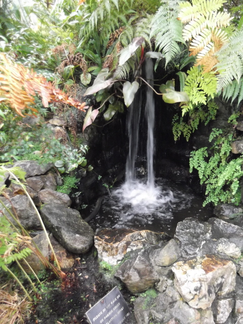 Interior Waterfall