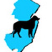 My NJ Dog profile image