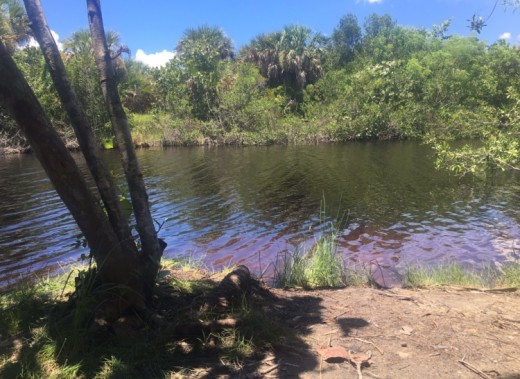 Rotary Park, Cape Coral, Florida 2016