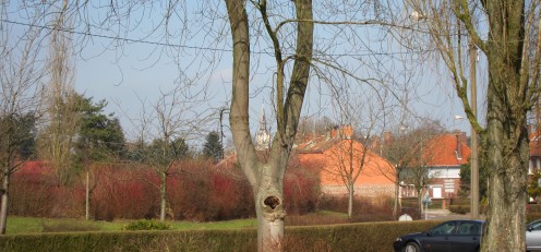 Panoramic view of Bousbecque