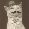 Foghor profile image