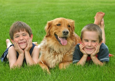 Some dogs are better with children than others!