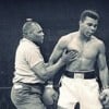 FightDiscovery profile image