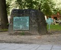 Samuel Adams as The Father of Liberty