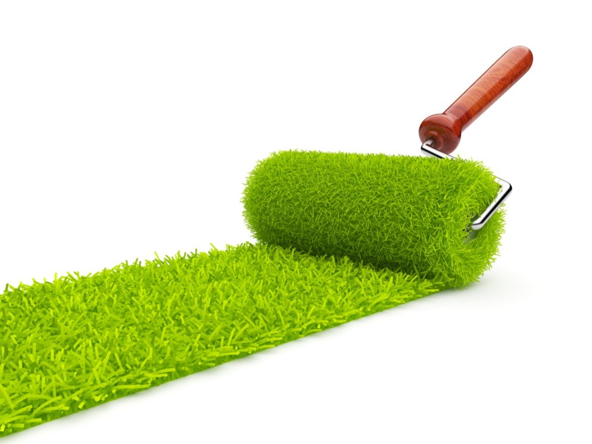 The Best Environmentally Friendly Building and Remodeling Options