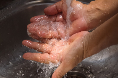 Washing your hands when cooking will help reduce germs getting into your food