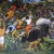 Mural "Crossing the Barranca," by Diego Riviera. In the Cortez Palace, Cuernavaca Mural "Crossing the Barranca," by Diego Riviera. In the Cortez Palace, Cuernavaca