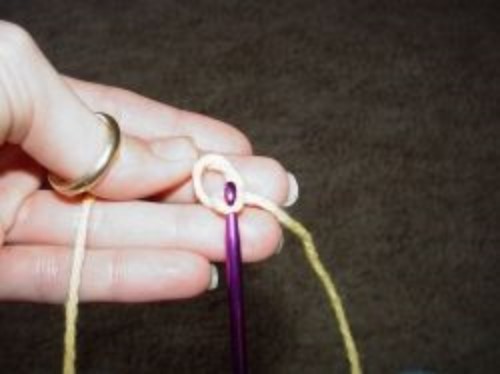 Use the crochet hook to pull the yarn up through the loop and create a slip knot.