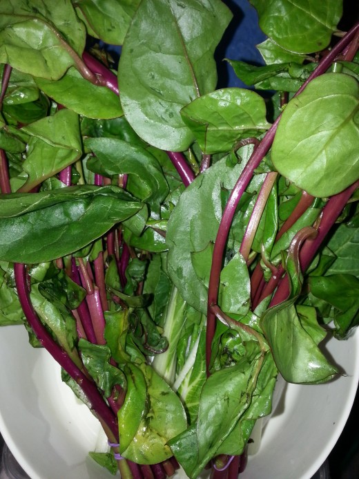 Raw Alugbati or also know as Basella, Malabar spinach