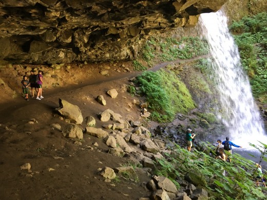 Nature can cure what ails you.  Explore and be happy.