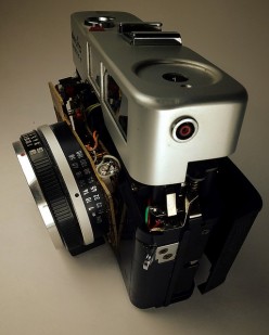 A Rugged Digital Camera