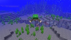 'Minecraft' Update 1.13: New Blocks and Features