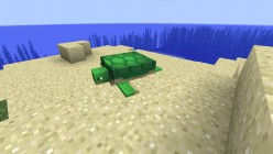 'Minecraft' Update 1.13: New Aquatic Mobs Have Arrived